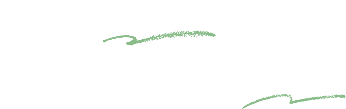 大人の手元に、やさしく華を。